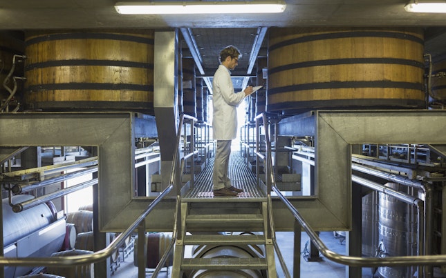 Wine Cellar Inspection