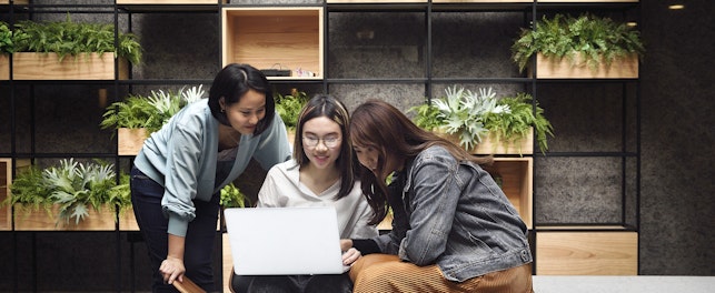 Women Working Together in a Modern Office