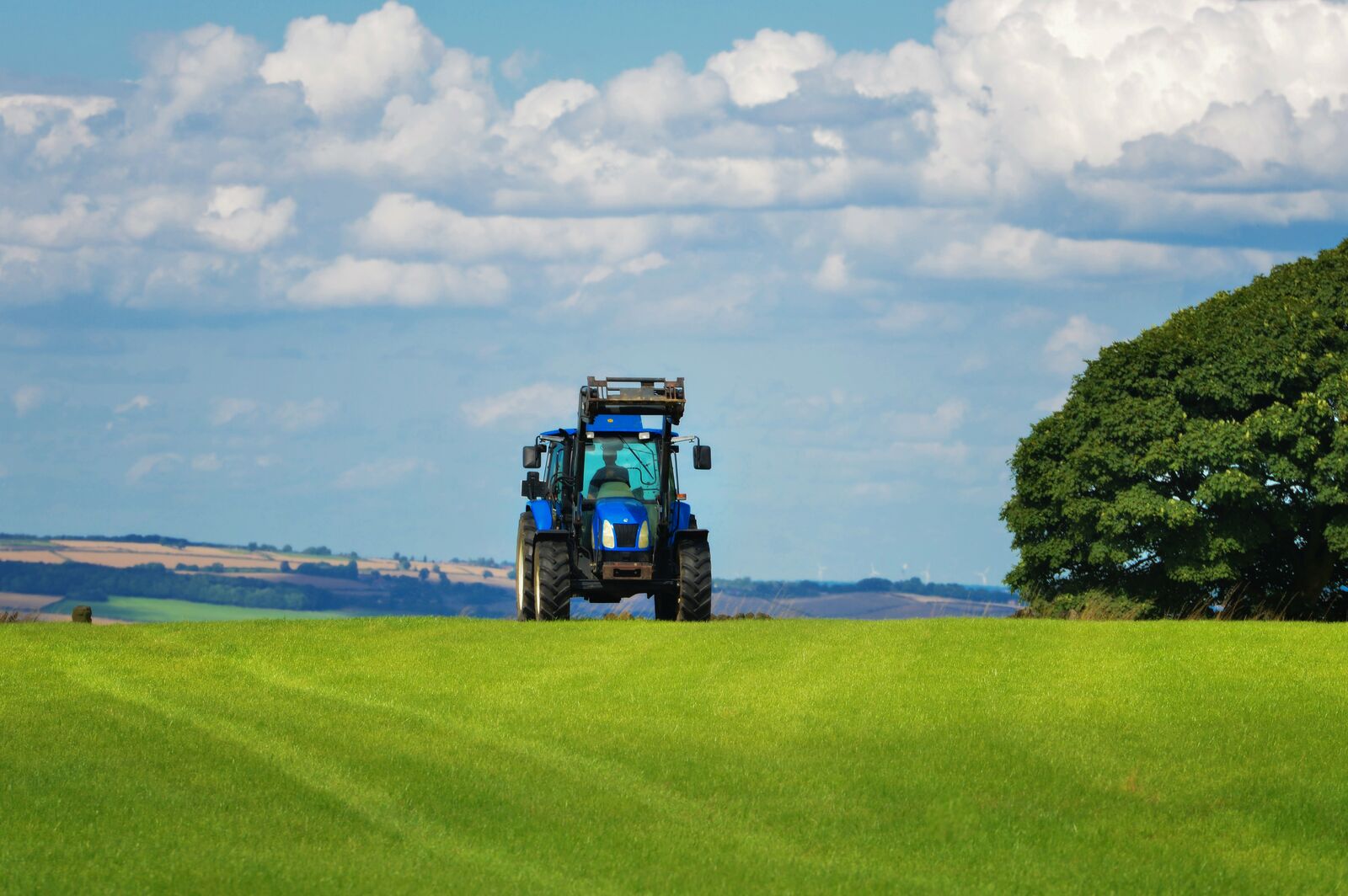 Case Study: Strengthen Trust Across Agricultural Value Chain with ...