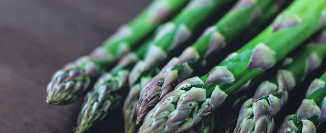 Close up on Asparagus