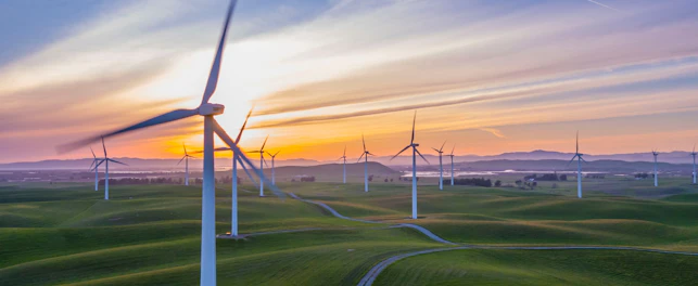 Wind Turbine Farm at Sunset