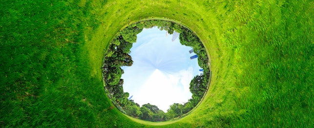 Panoramic Projection of a Green Field with Trees in the Summer