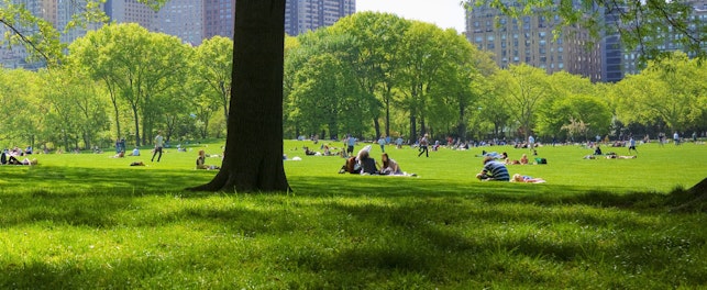 Central Park Amerika