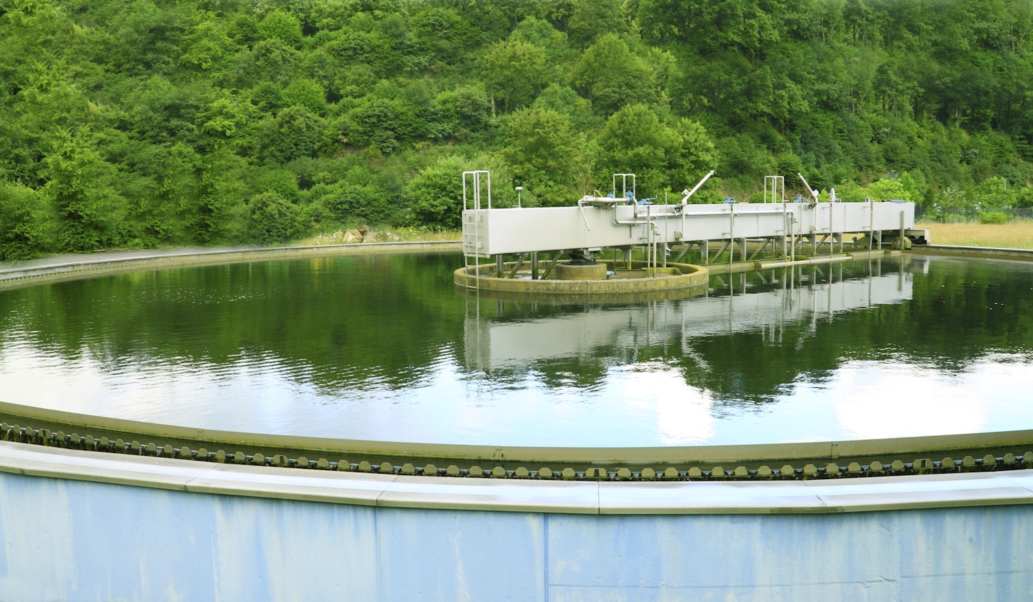 Dia Mundial del Agua