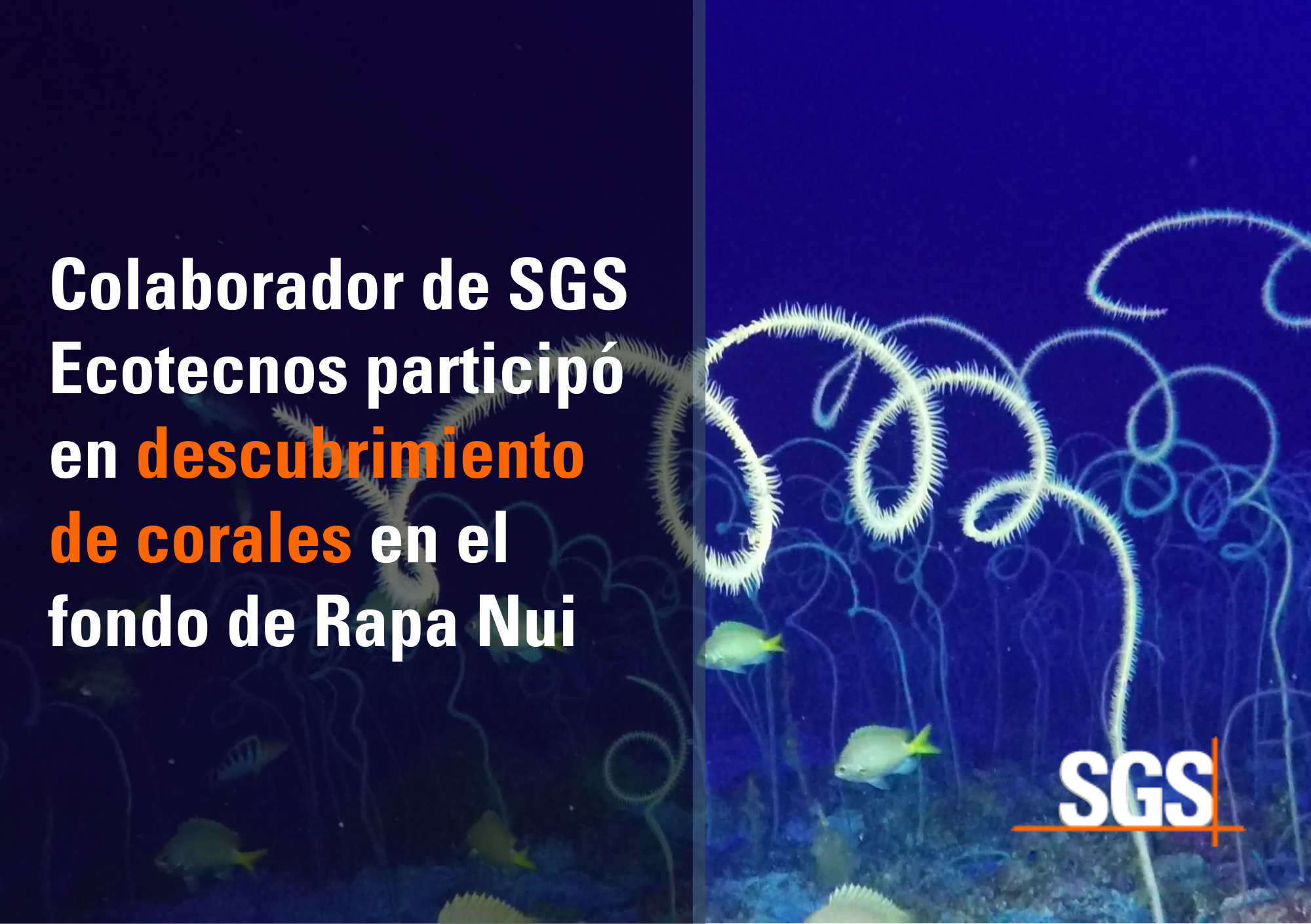 SGS Ecotecnos corales Rapa Nui