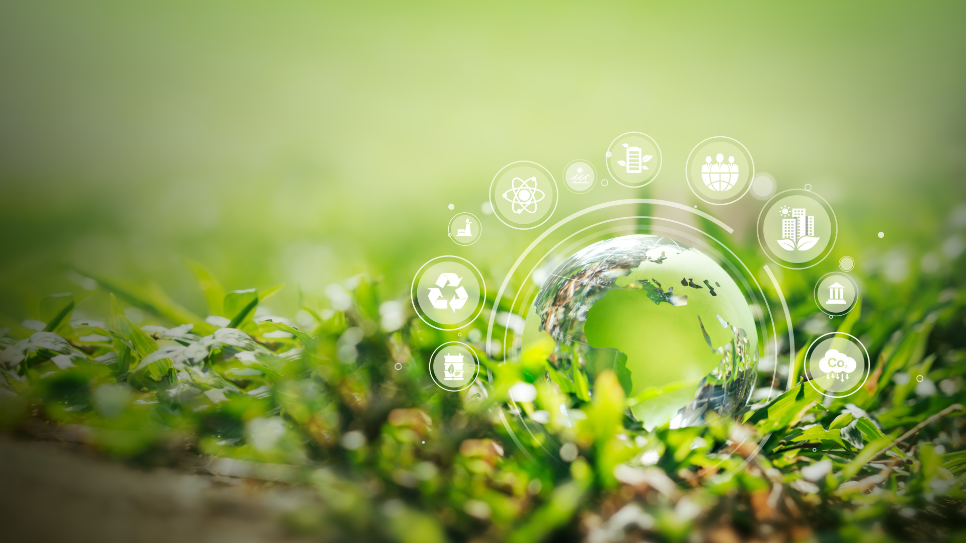 Global Sustainable Environment Concept