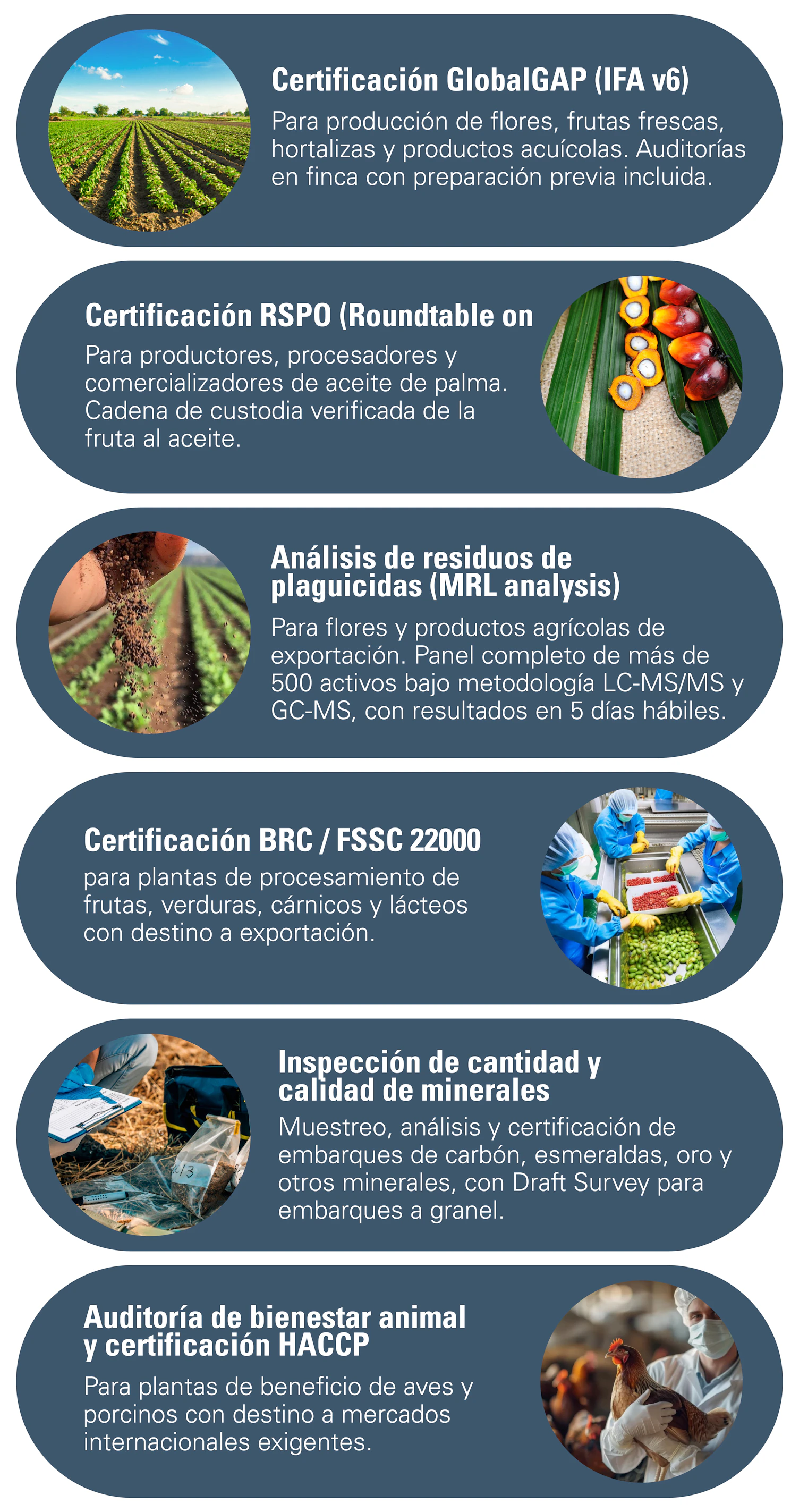 NR Imagen 3