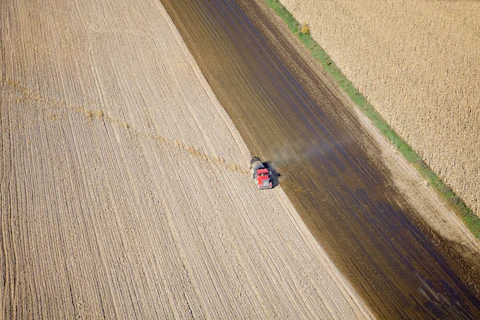 fertilizer
