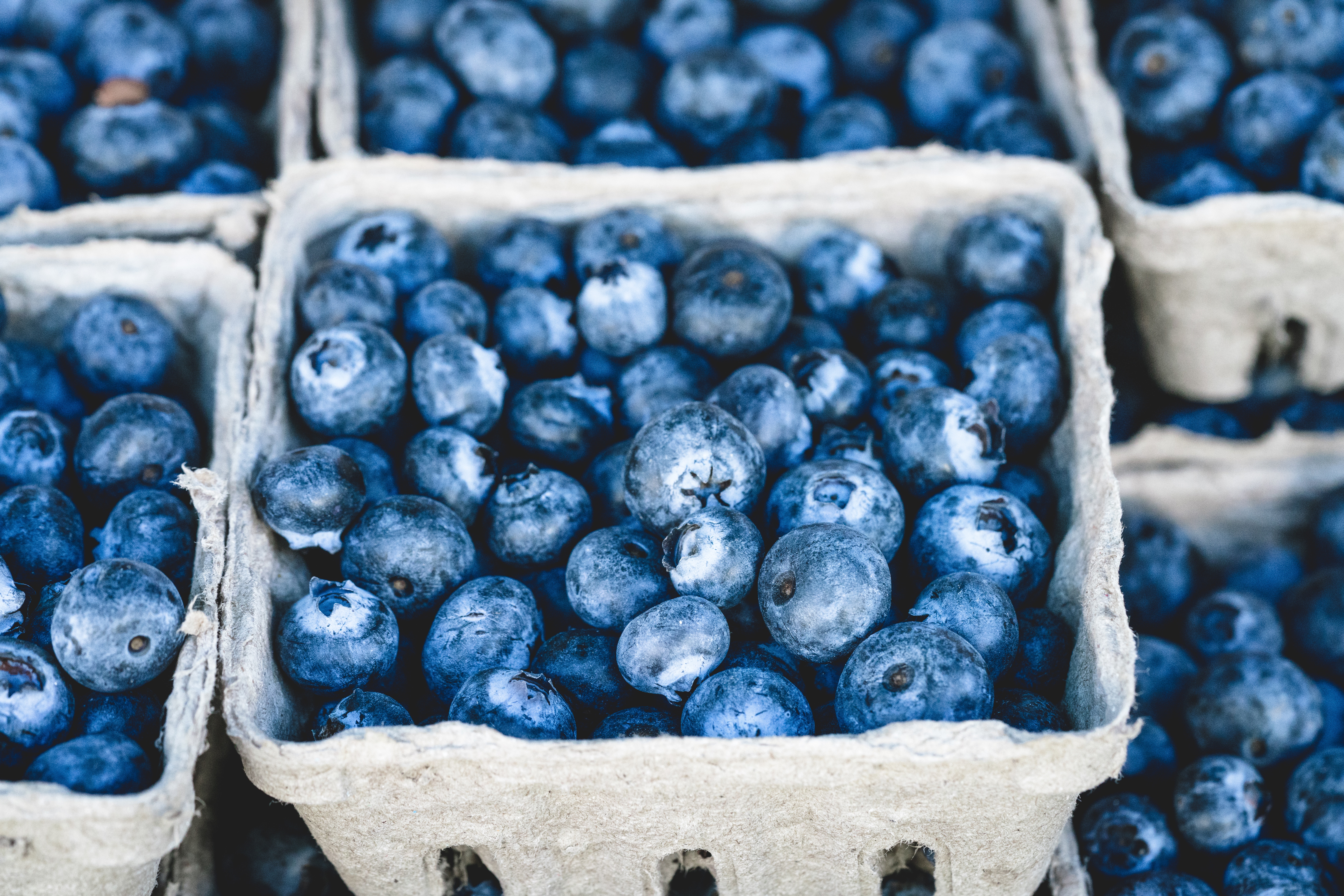 Agriculture image