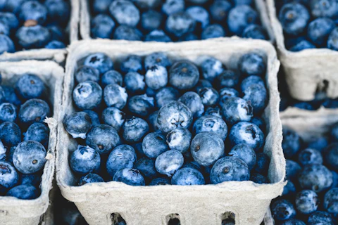 Agriculture image