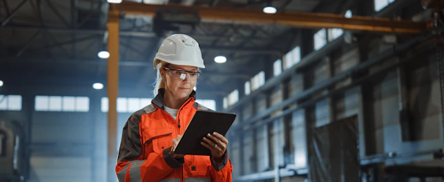industrial inspection
