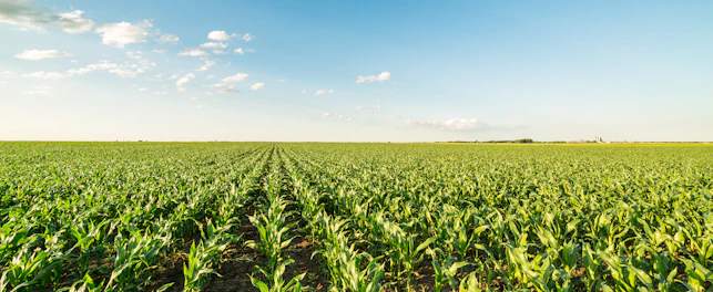 Agriculture image