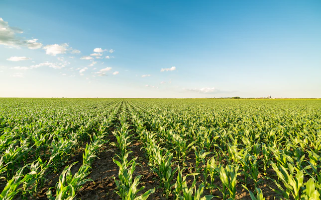 Agriculture image