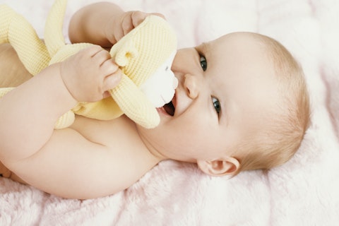 Vauva maistelee pehmolelua