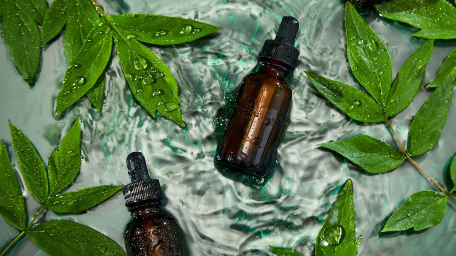 Acides, Aminés, Expertise, Analyse