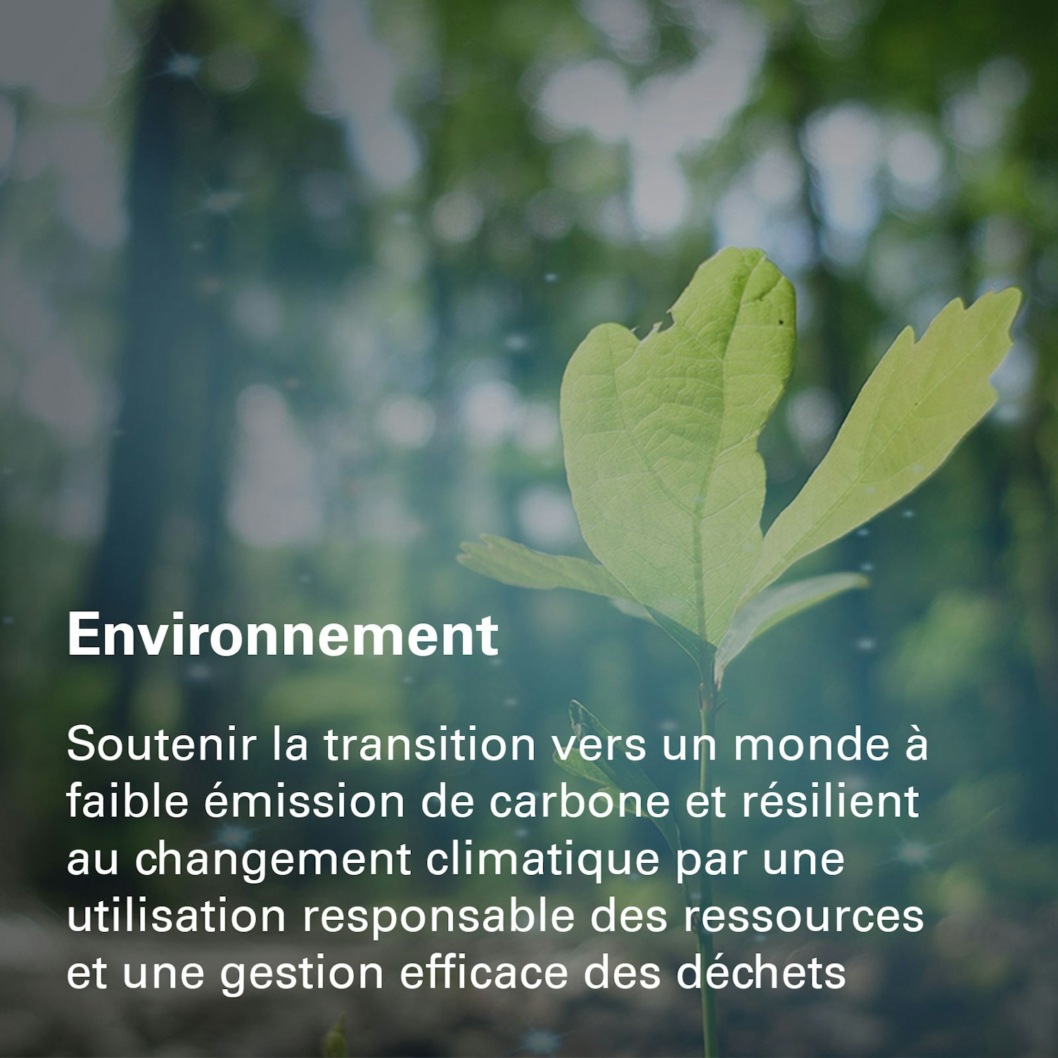 Environnement Better Planet