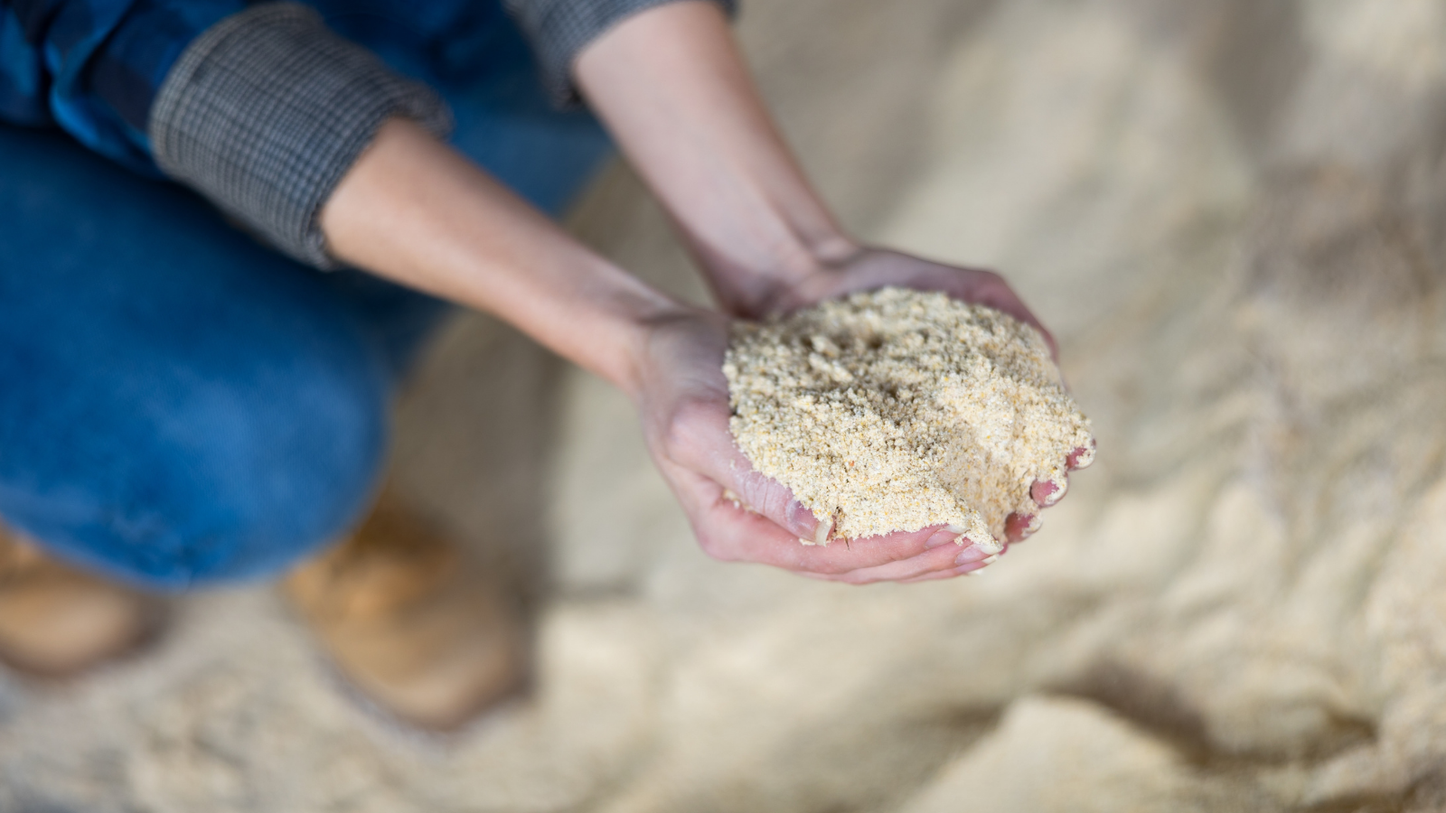 Farine, Poisson, Sécurité, Conformité