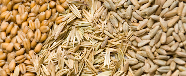 Grains, Analyses, Officielles