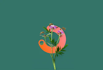 Impact Now sur la nature