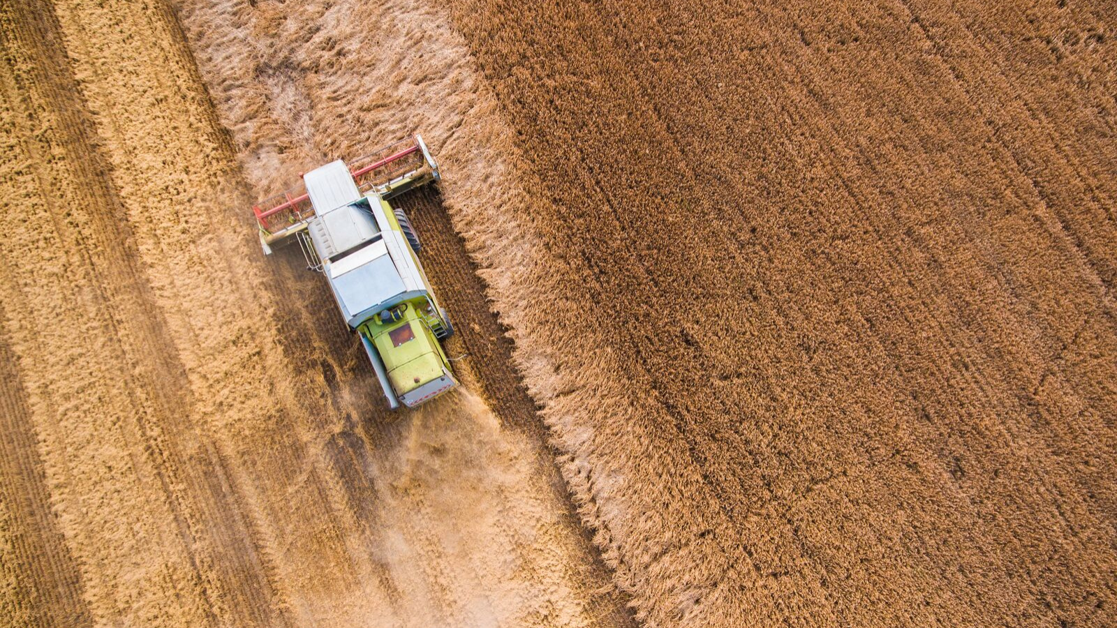 Agriculture, Matinée Export, Bourse de l'Exécution