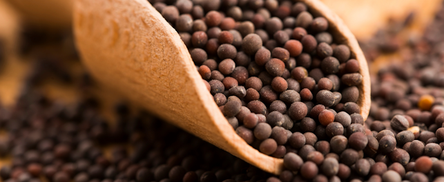 Graines, Moutarde, Qualité, Sécurité