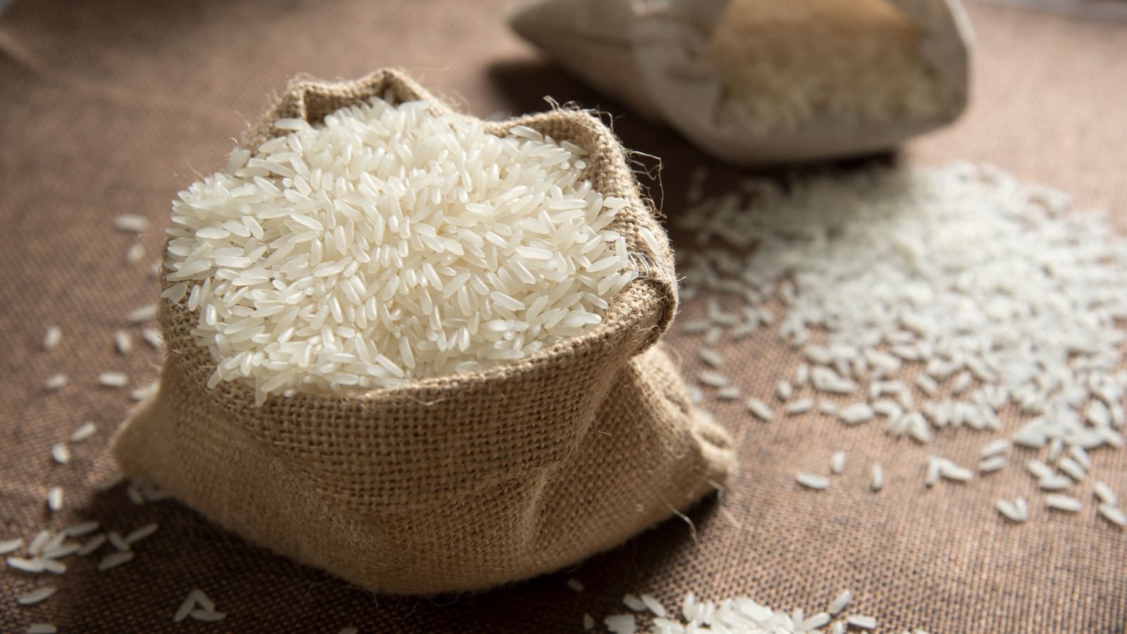 Authentification moléculaire du riz - Basmati et autres | SGS France
