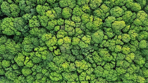 aerial view of a forest