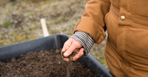 SGS Hong Kong Recognized for Compostability Testing under BPI ...