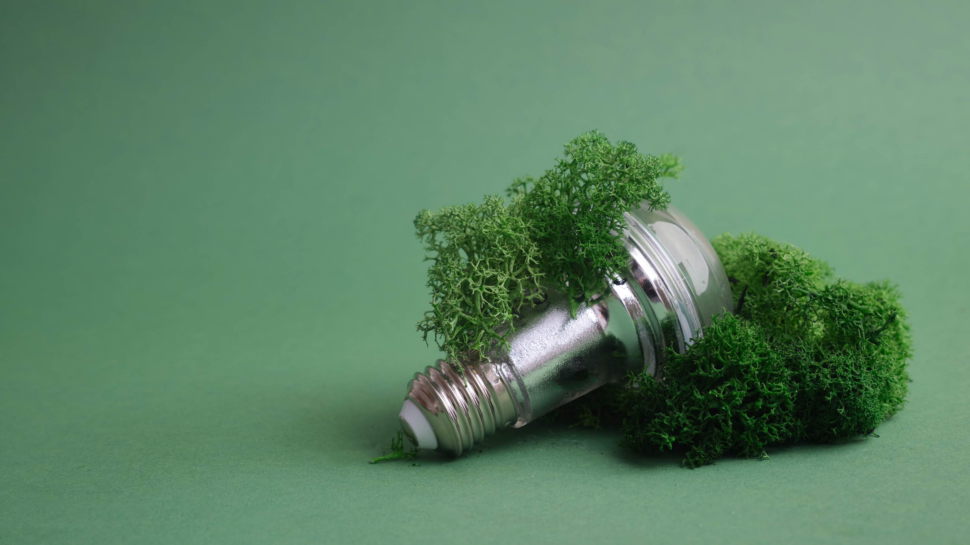 Green Electronics Lightbulb