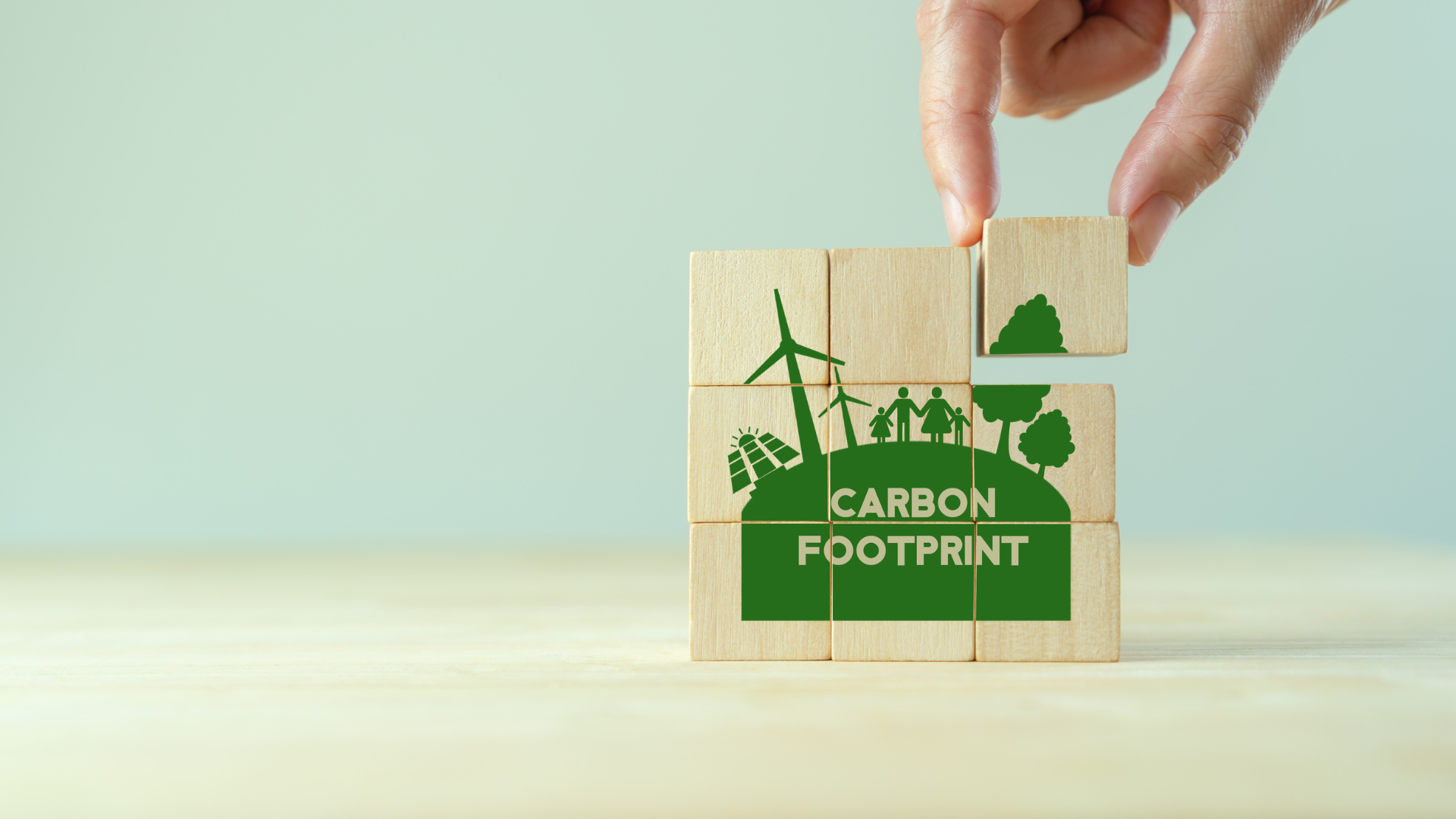Wooden Blocks Carbon Footprint