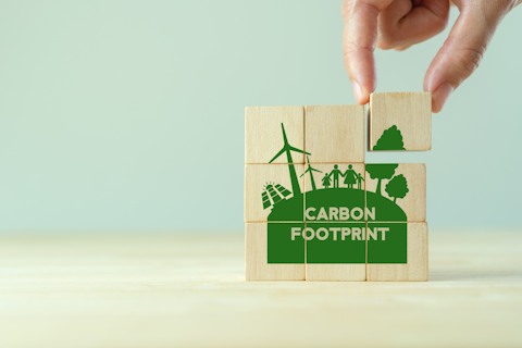 Wooden Blocks Carbon Footprint