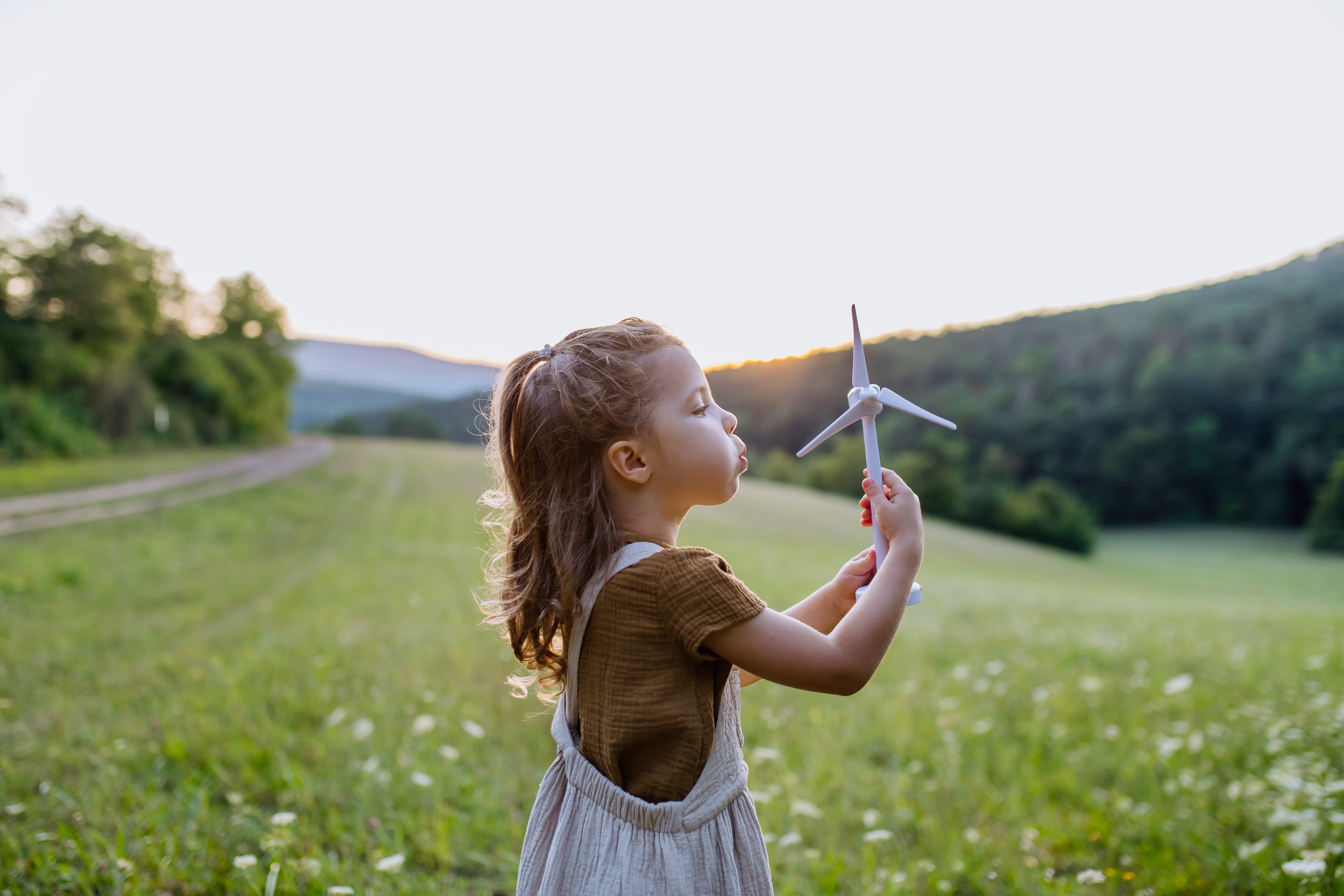concept of ecology future and renewable resources