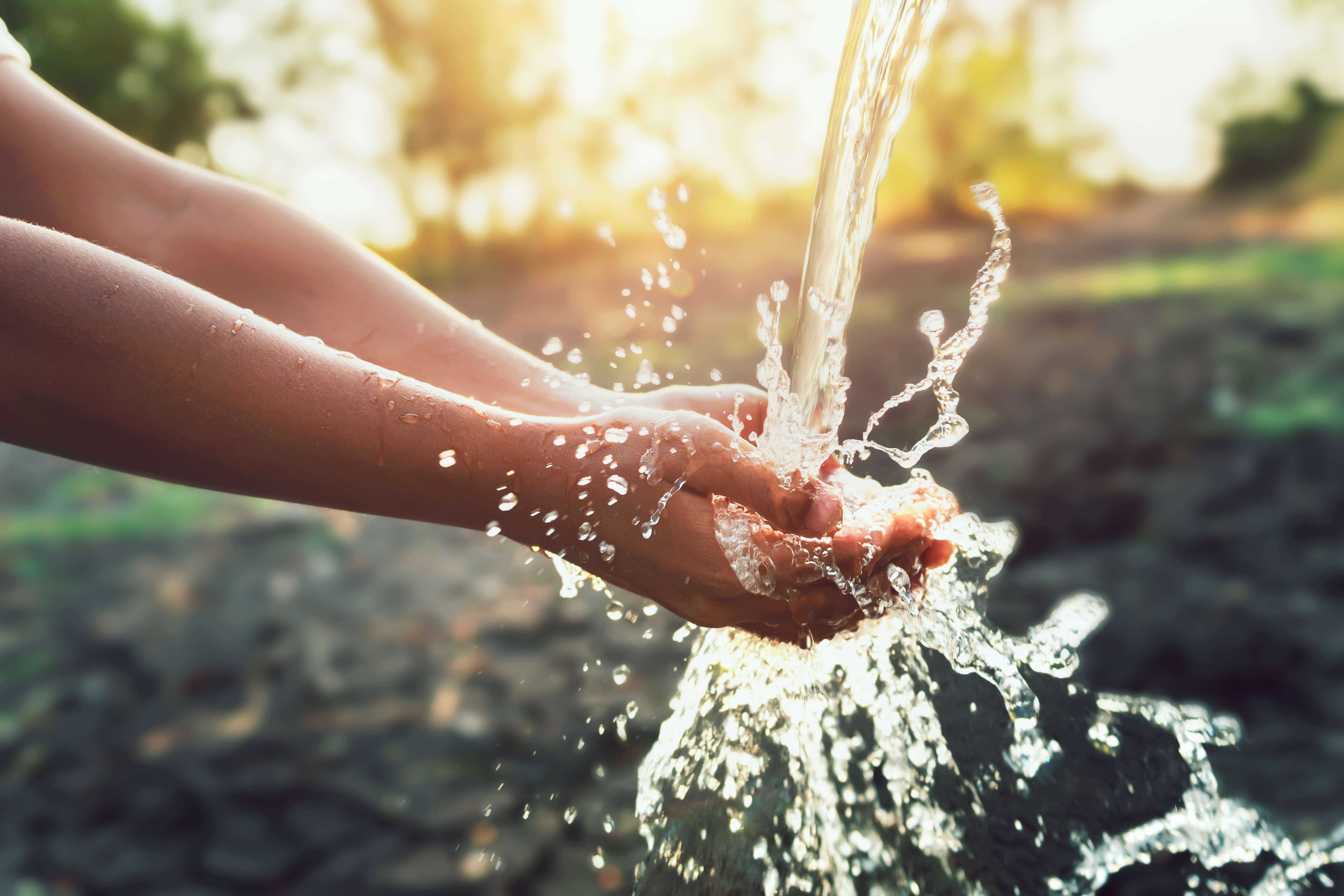 fresh water in nature