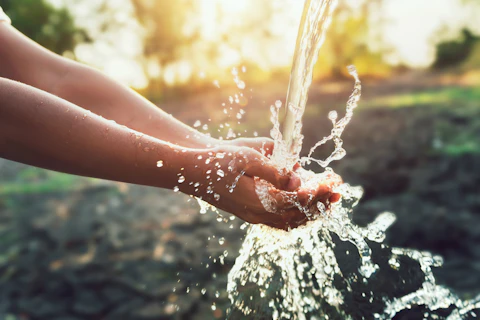 fresh water in nature