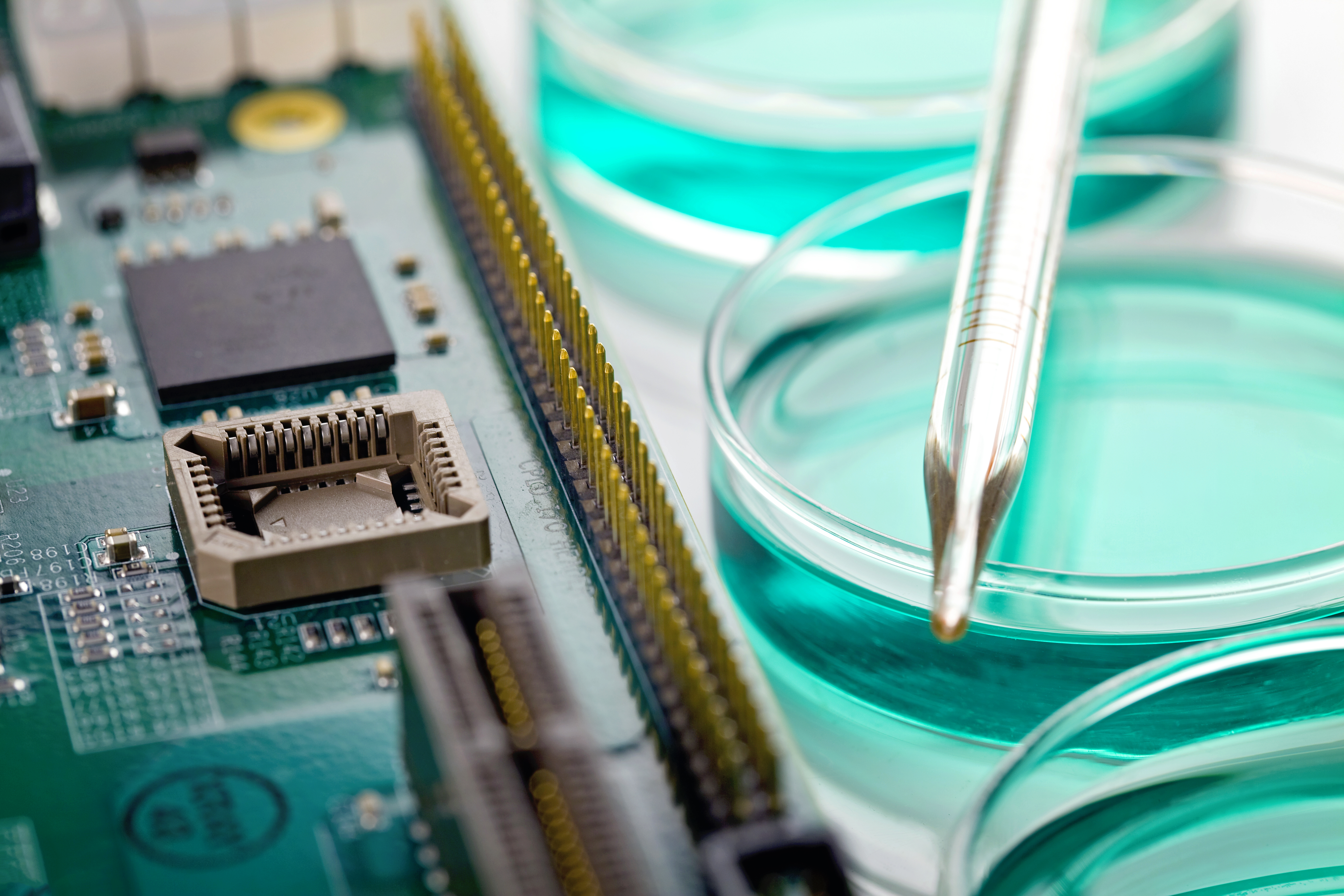 integrated circuits and petri dishes