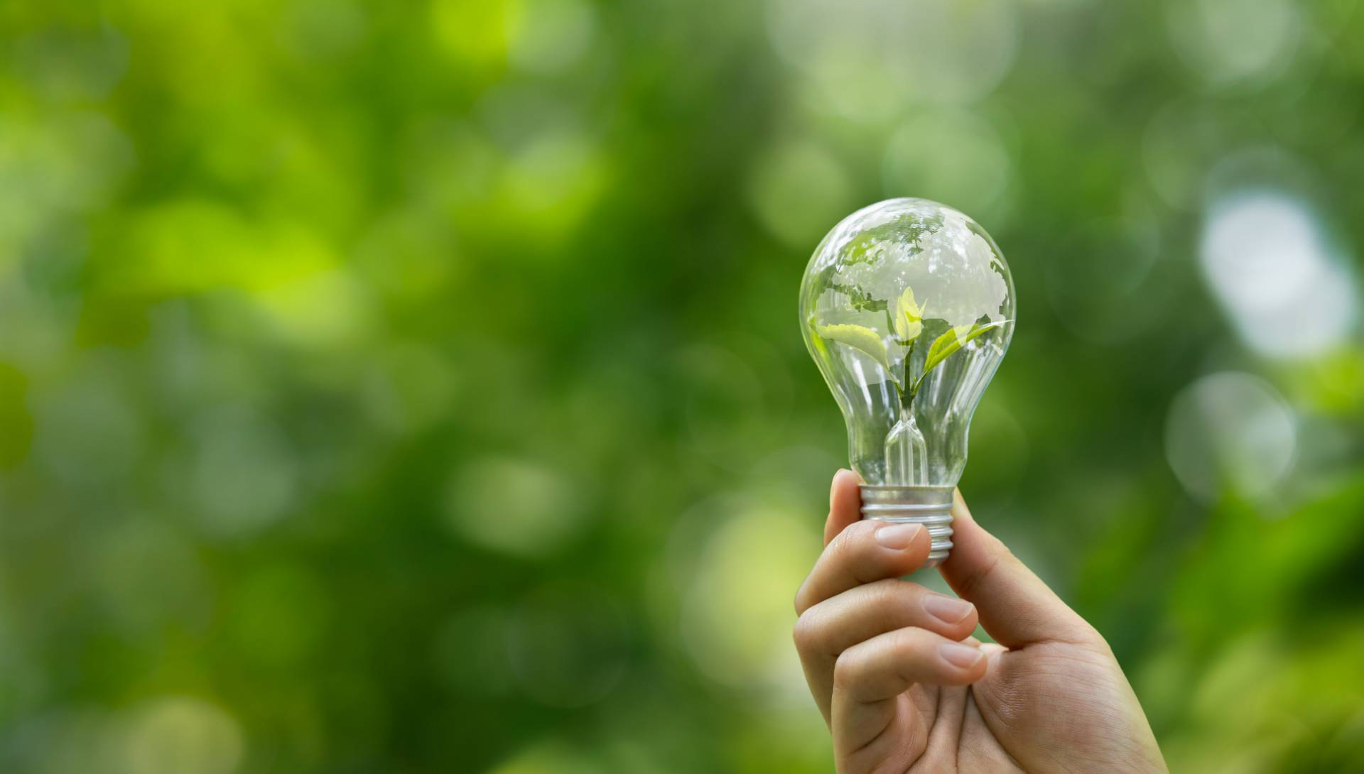 Sustainable Environment concept ESG green energy Carbon emission