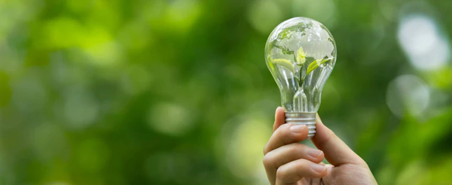 Sustainable Environment concept ESG green energy Carbon emission