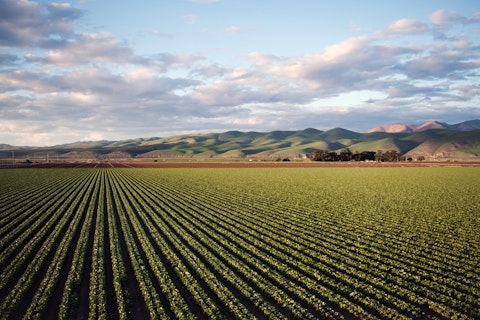 Green agriculture field