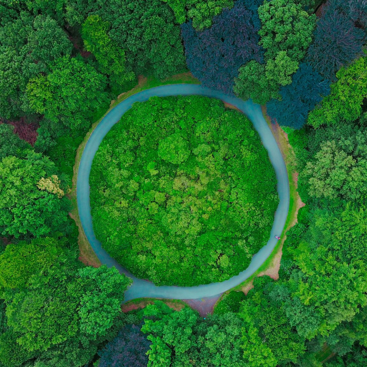 Carbon Emission Reporting Training