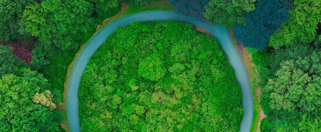 Carbon Emission Reporting Training