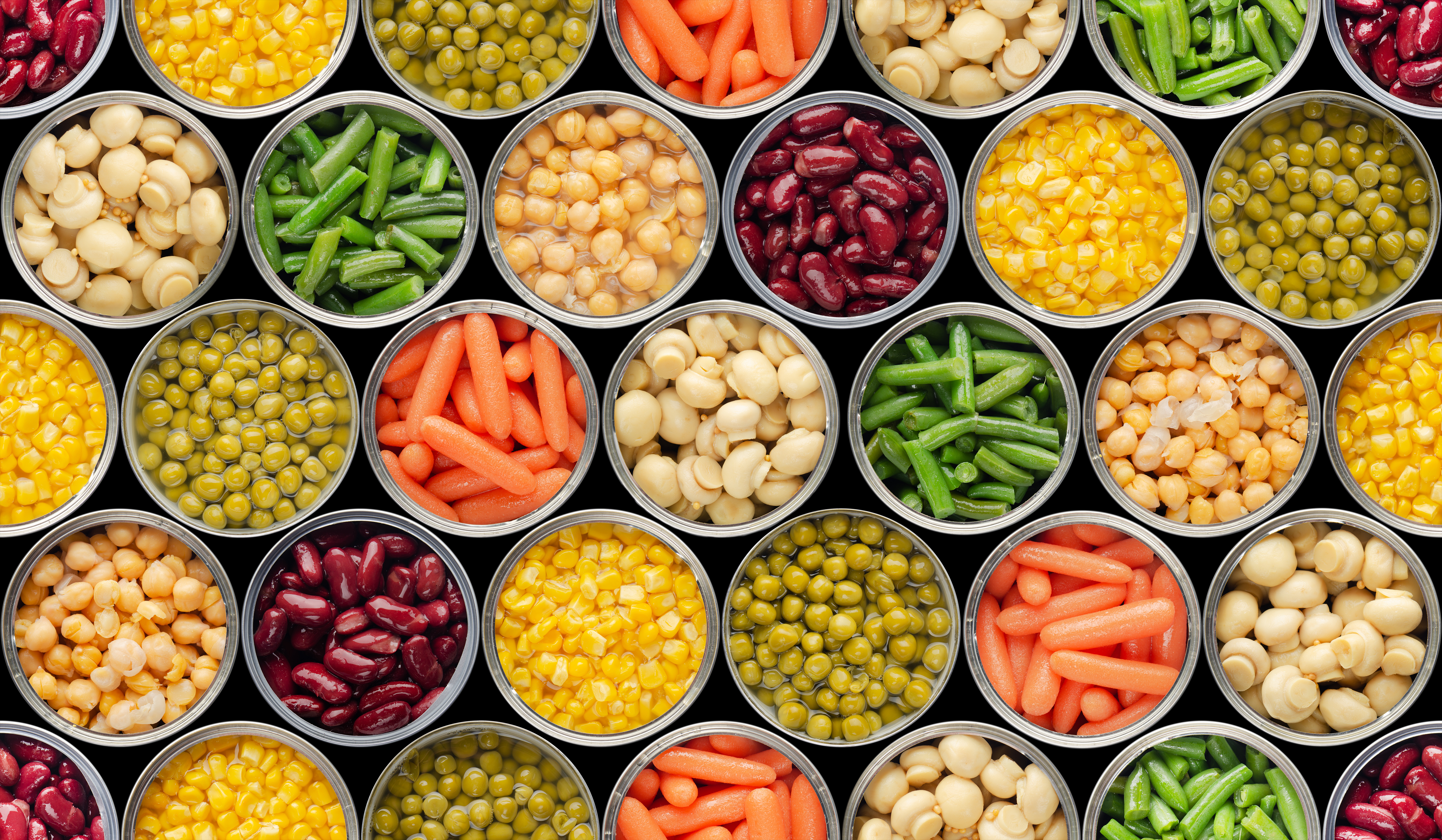 Canned Food