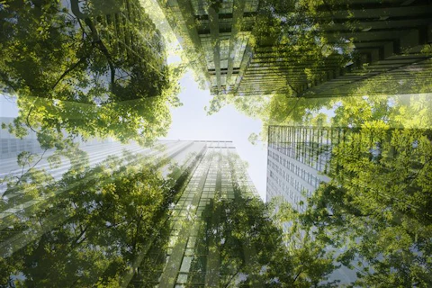 Cityscape and Green