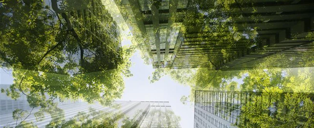 Cityscape and Green