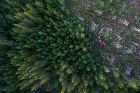 High angle view of forestry machinery amidst trees in forest