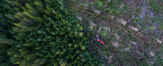 High angle view of forestry machinery amidst trees in forest