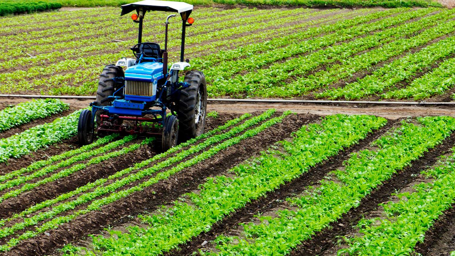 agricultura sostenible sgs