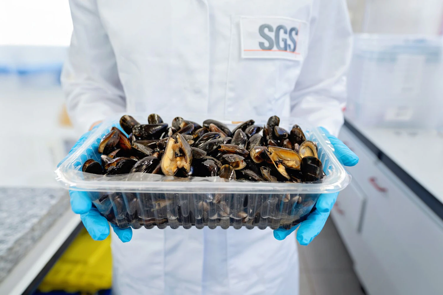 sgs food safety