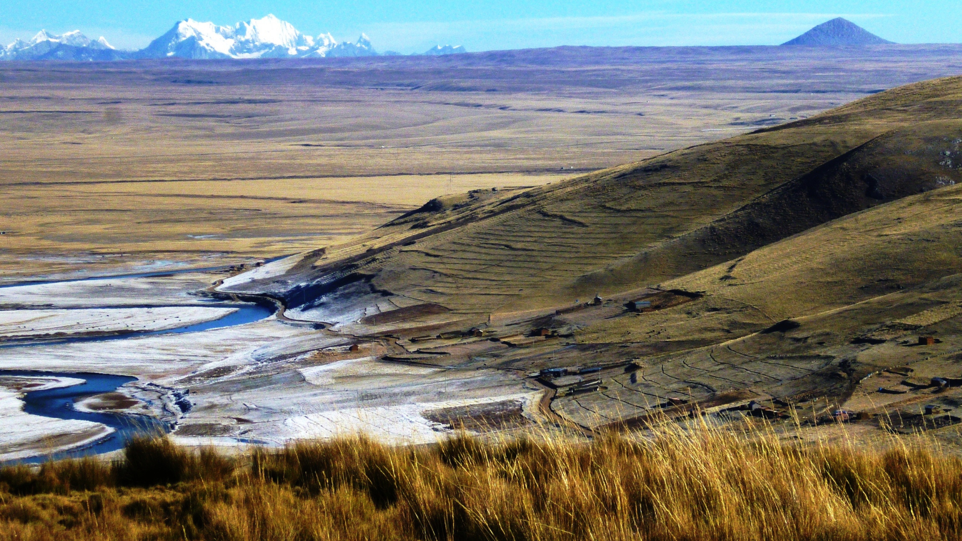 biodiversidad sgs