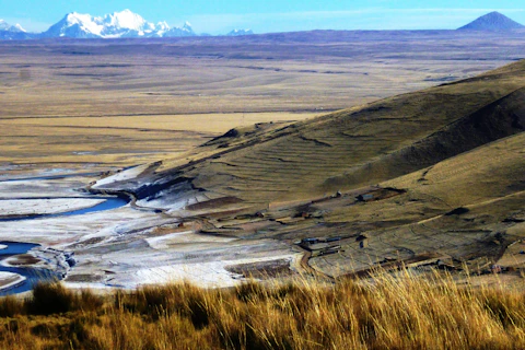 biodiversidade na mineração