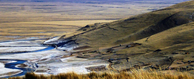 biodiversidade na mineração